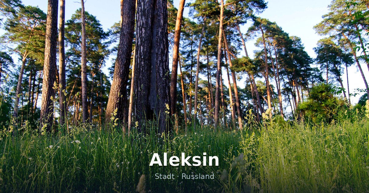 Aleksin – Stadt · Russland
