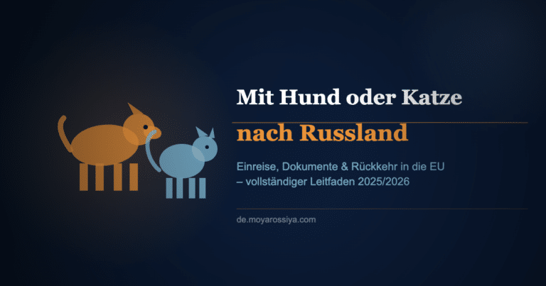 Hund und Katze mit Reisedokumenten – Einreise nach Russland