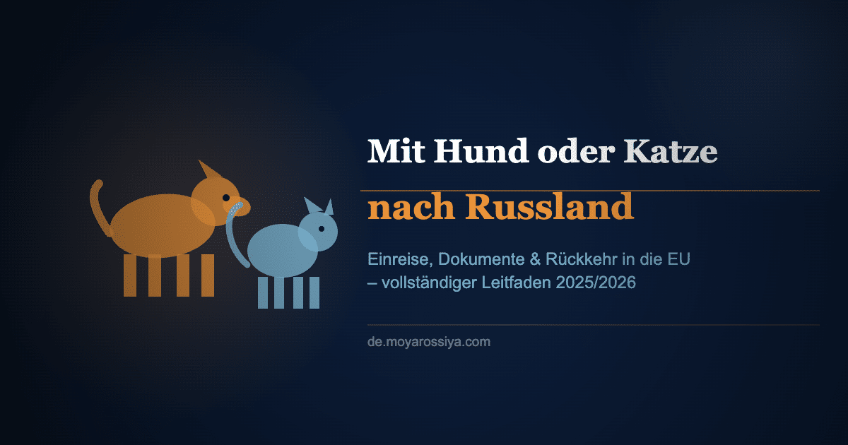 Hund und Katze mit Reisedokumenten – Einreise nach Russland