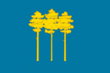 Flagge