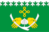 Flagge