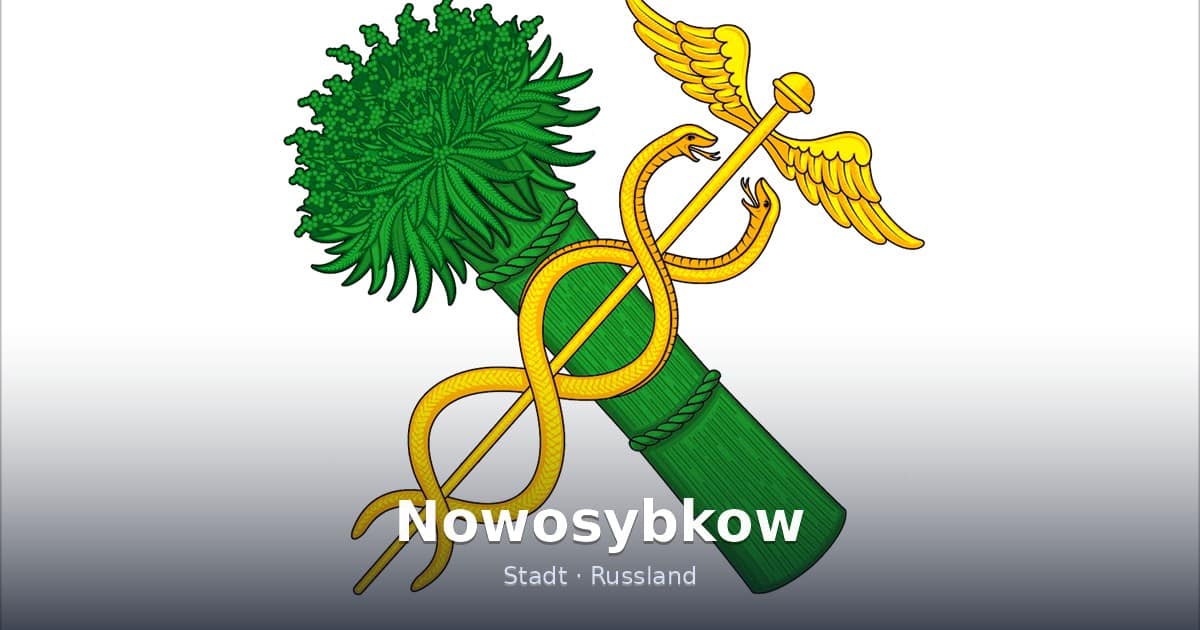 Nowosybkow – Stadt · Russland