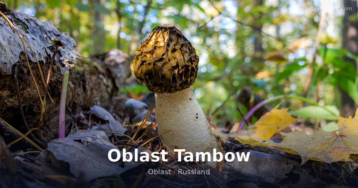 Oblast Tambow – Oblast · Russland