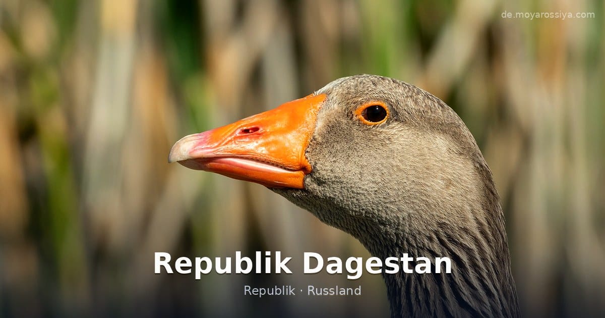 Republik Dagestan – Republik · Russland