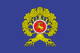 Flagge