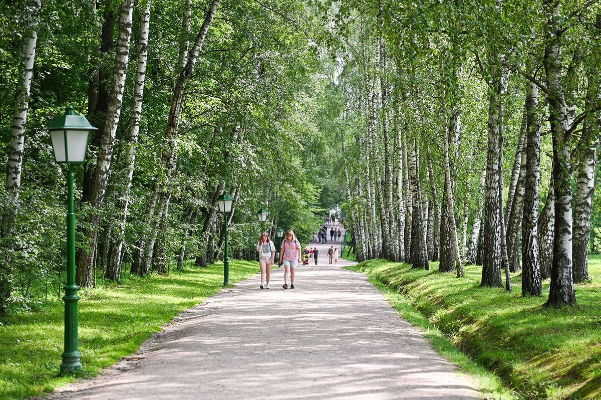 Sommerreise nach Jasnaja Poljana: Tolstoi-Gut öffnet für Festival – Foto: mos.ru