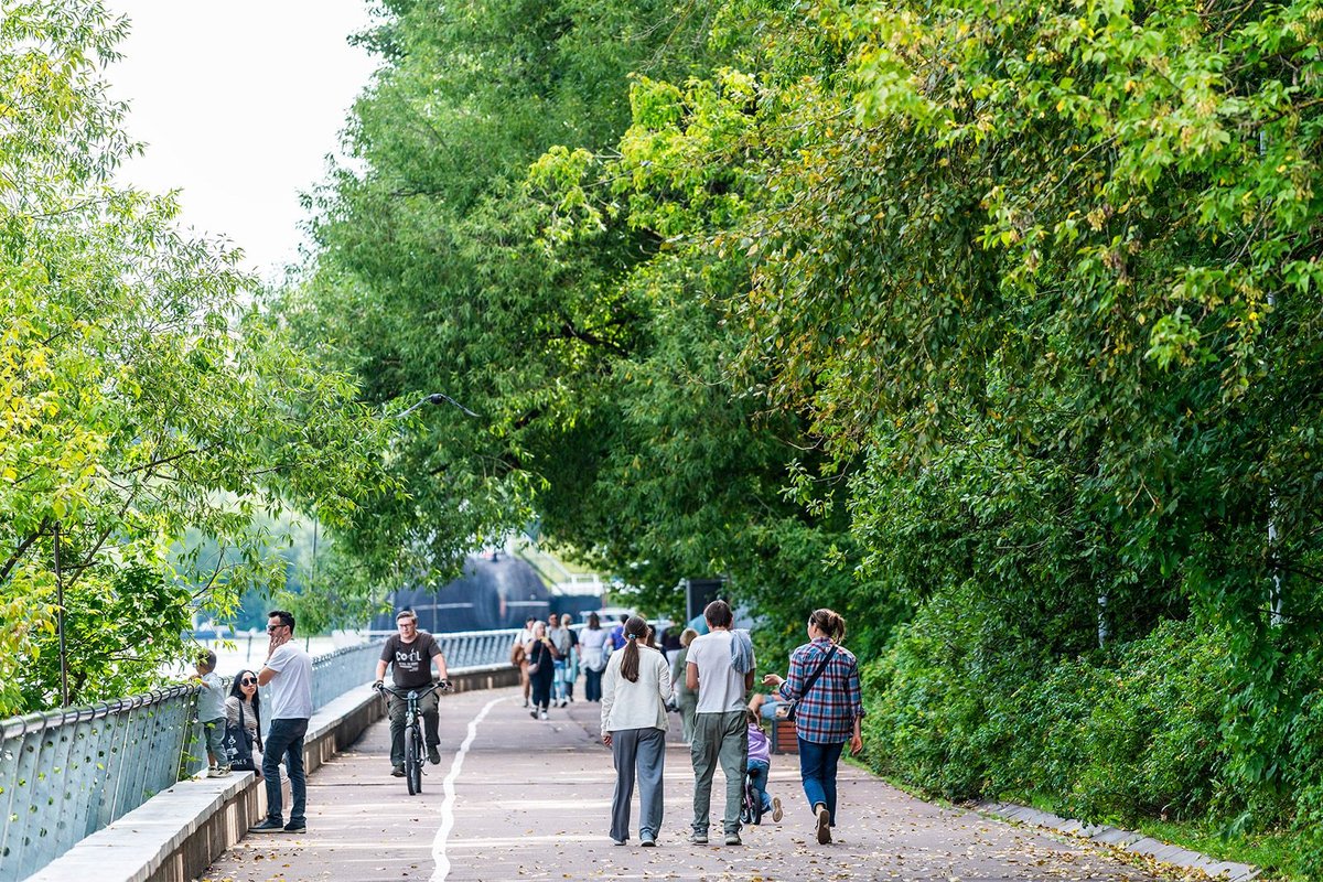 Wochenende in Moskauer Parks: Sport, Kunst und Konzerte – Foto: mos.ru