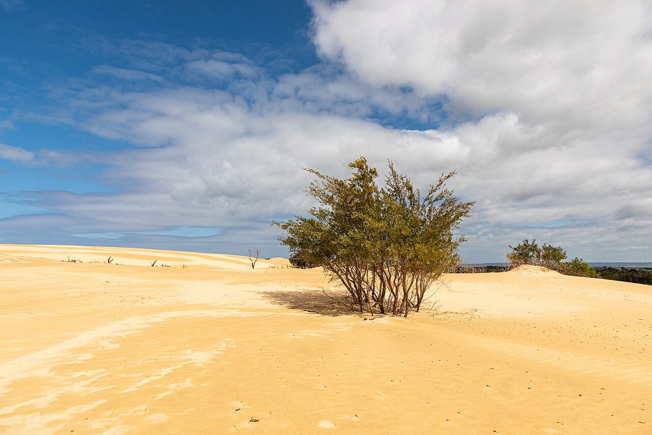 Wilsons Promontory National Park (AU), Big Drift -- 2019 -- 1683.jpg
