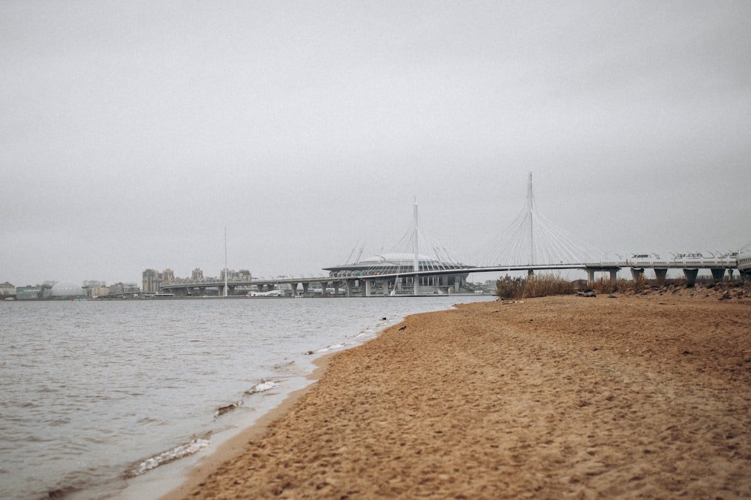 a body of water with a bridge in the background